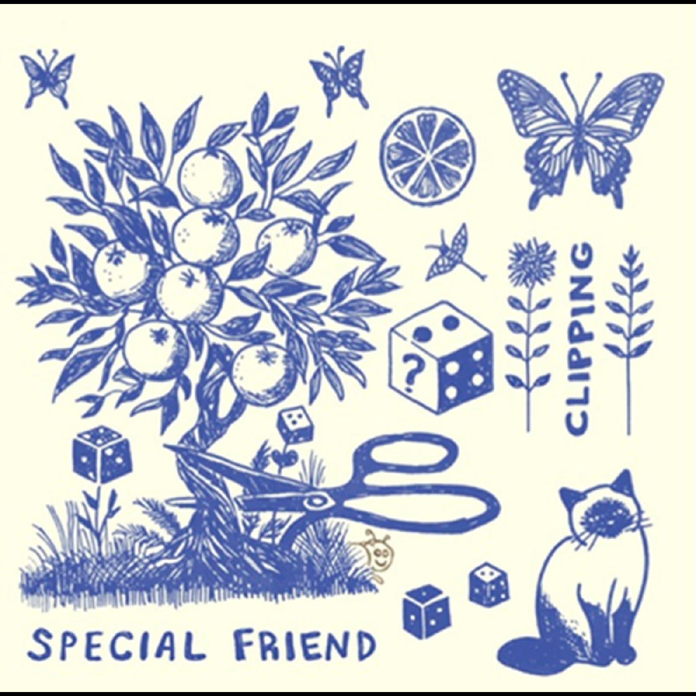 Special Friend - Clipping Vinyl
