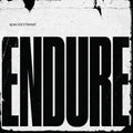 Special Interest - Endure Vinyl LP Gatefold Jacket w/ Poster Insert