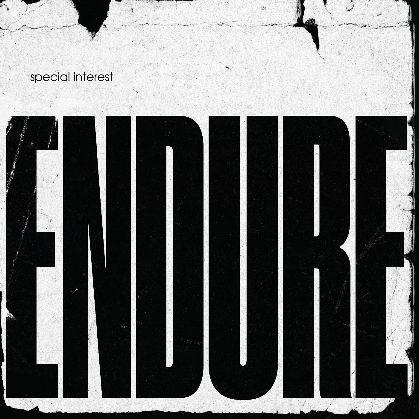 Special Interest - Endure Vinyl LP Gatefold Jacket w/ Poster Insert