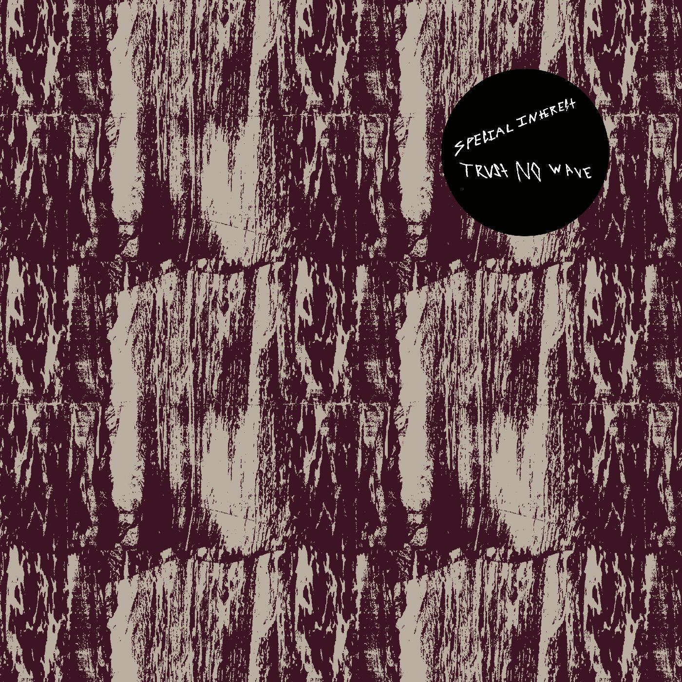 Special Interest - Trust No Wave Vinyl LP Includes 8 page risographed zine, download card and sticker
