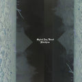 SPIRAL JOY BAND - Elvehjem Vinyl LP