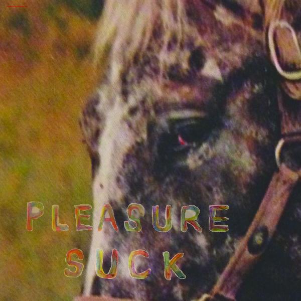 SPIRIT OF THE BEEHIVE - Pleasure Suck (TRANSPARENT ORANGE VINYL) Vinyl LP Limited Edition Transparent Orange Vinyl