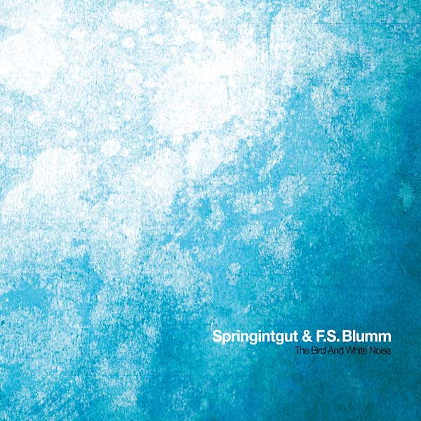 SPRINGINTGUT & F.S. BLUMM - The Bird and White Noise Vinyl LP