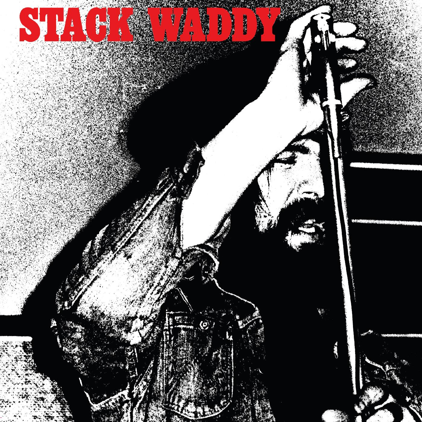 Stack Waddy - Stack Waddy (WHITE VINYL) Vinyl LP White Vinyl