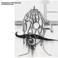 STEAMBOAT SWITZERLAND - Terrifying Sunset Vinyl LP