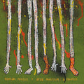 STEFAN NEVILLE & GREG MALCOLM - A Nuance Vinyl LP