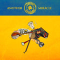 STEVE 'N' SEAGULLS - Another Miracle Vinyl LP