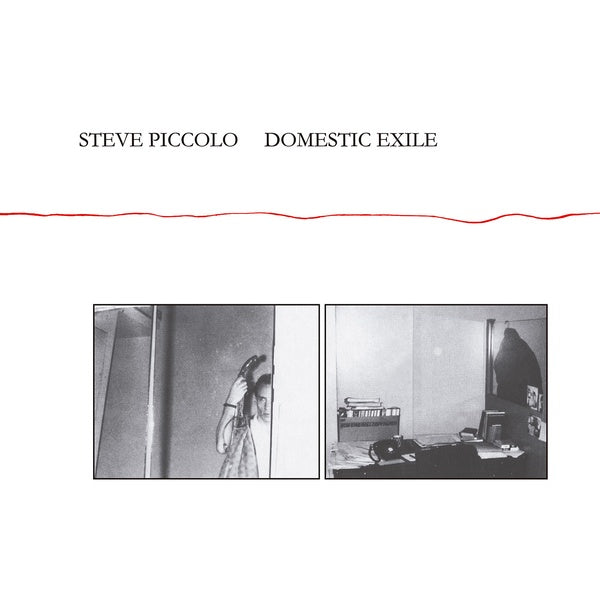 STEVE PICCOLO - Domestic Exile CD CD