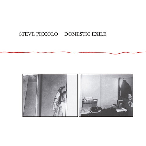 STEVE PICCOLO - Domestic Exile CD CD