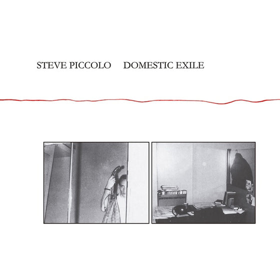 STEVE PICCOLO - Domestic Exile CD