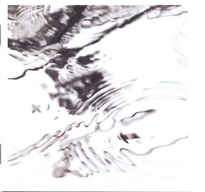 STEVE RODEN & MACHINEFABRIEK - Lichtung CD CD