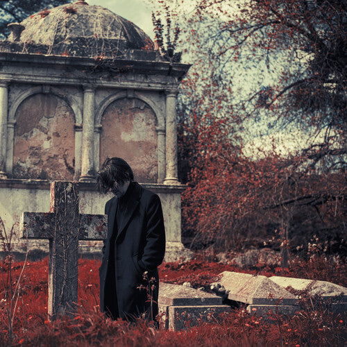 Steven Wilson - Requiem for a Village (Indie Exclusive, Dark Green Colored Vinyl) (2 Lp's) Vinyl