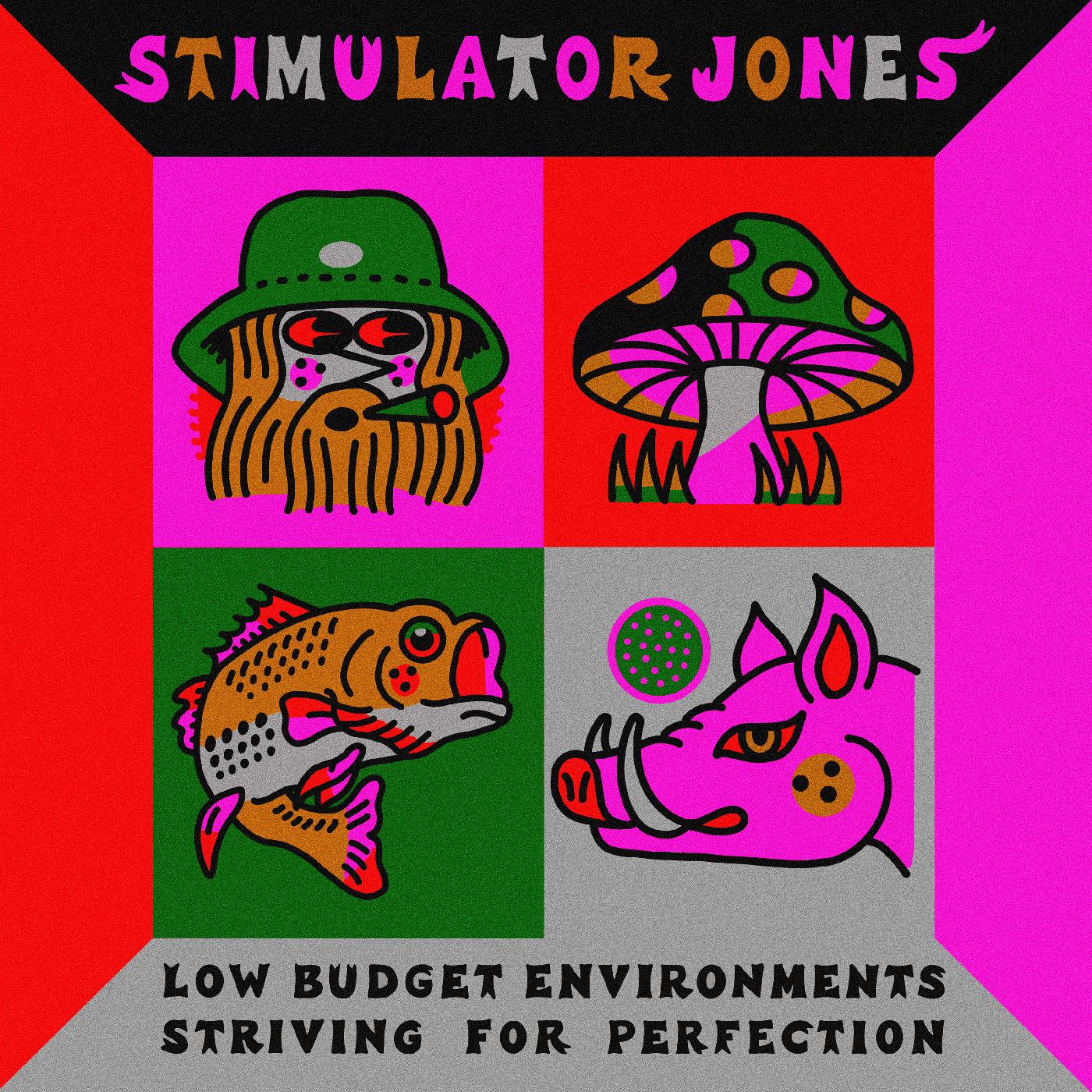 Stimulator Jones - Low Budget Environments Striving For Perfection Vinyl LP