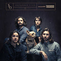 Stop Light Observations - TOOGOODOO Vinyl