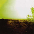 STRINGS OF CONSCIOUSNESS & ANGEL - Strings Of Consciousness & Angel CD CD