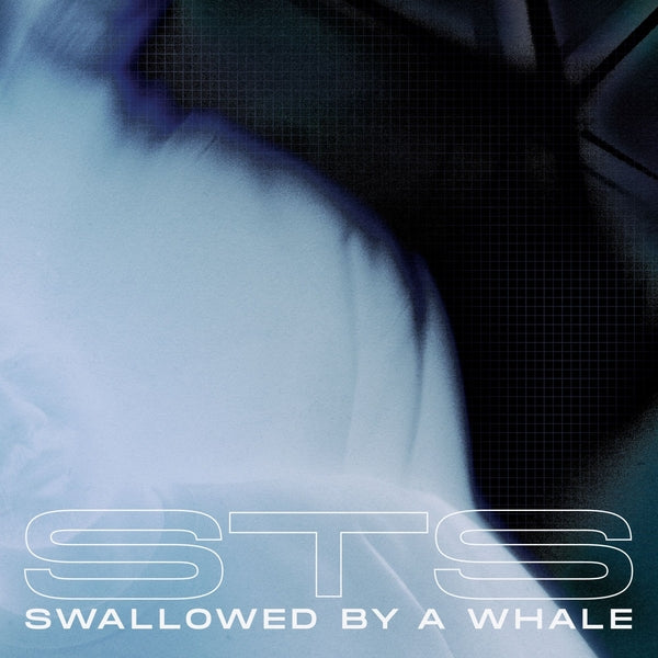 Sts - Swallowed By A Whale Vinyl 12"