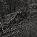 SULT - Always I Gnaw Vinyl LP