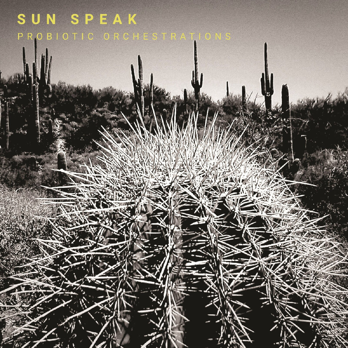 Sun Speak - Probiotic Orchestrations Vinyl