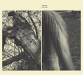 SUSANNA - Wild Dog CD CD