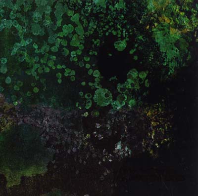 SUTEKH HEXEN WITH ANDREW LILES - Breed in Me the Darkness CD CD