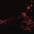 SVARTE GREINER - Moss Garden CD CD