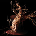 Swan Valley Heights - Terminal Forest (ULTRA CLEAR WITH BLACK SMOKE VINYL) Vinyl LP Ultra Clear with Black Smoke Vinyl
