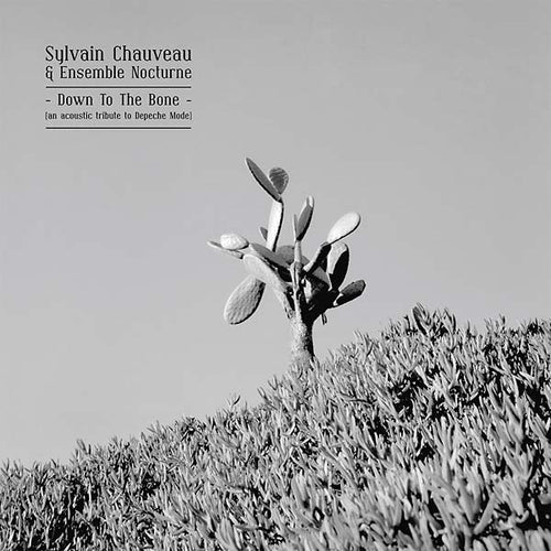SYLVAIN CHAUVEAU & ENSEMBLE NOCTURNE - Down to the Bone (An Acoustic Tribute to Depeche Mode) CD CD