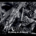 Taake - En Skog Av Nidstang Vinyl