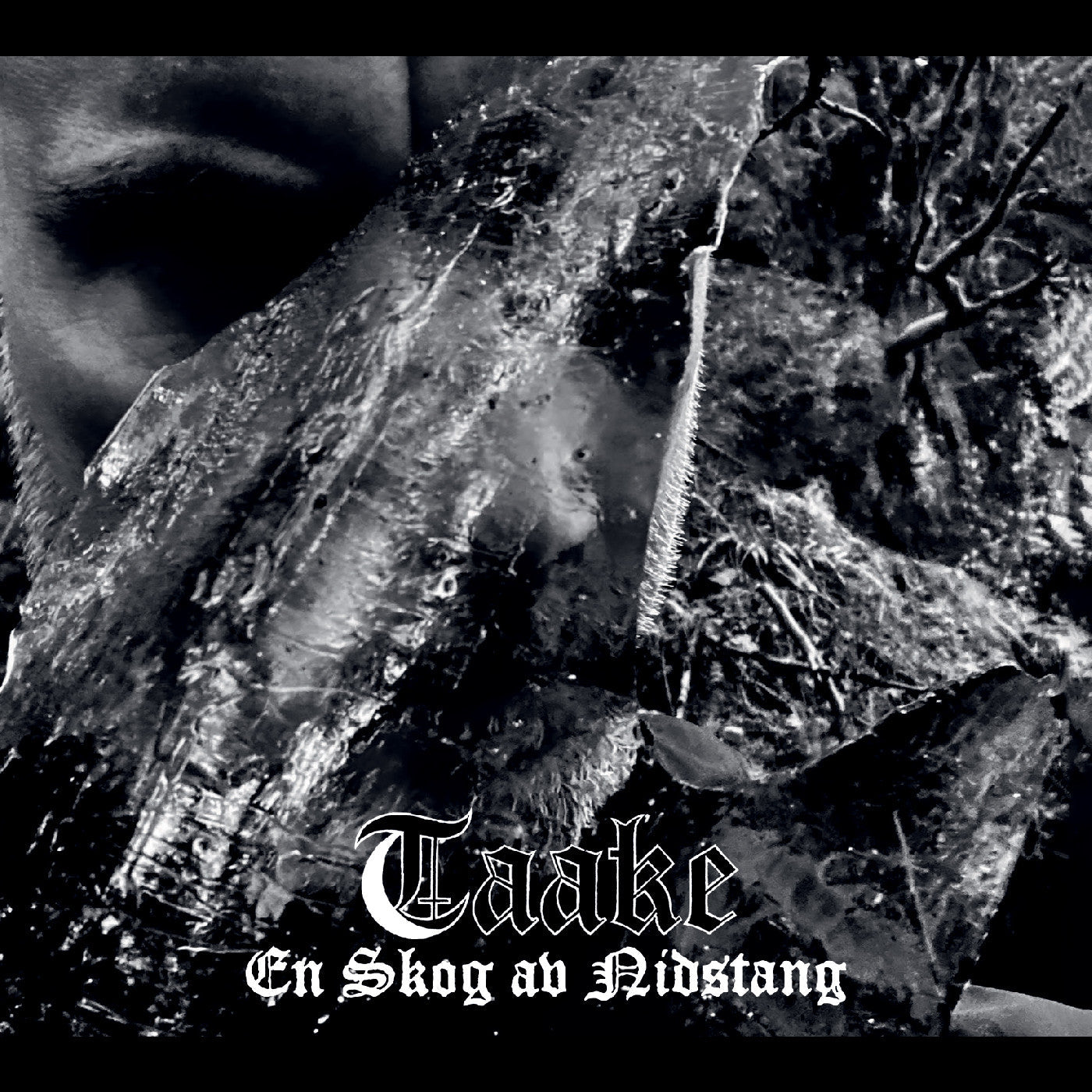 Taake - En Skog Av Nidstang Vinyl