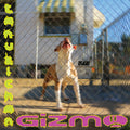 Tanukichan - GIZMO Vinyl LP [w/ download card]