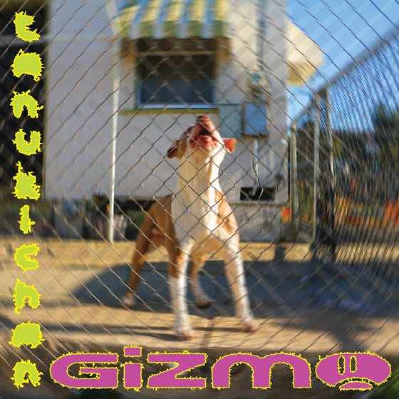 Tanukichan - GIZMO Vinyl LP [w/ download card]