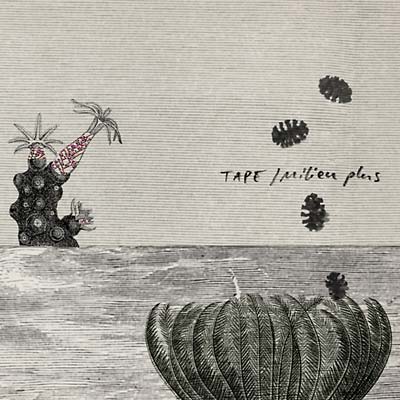 TAPE - Milieu Plus CD CD