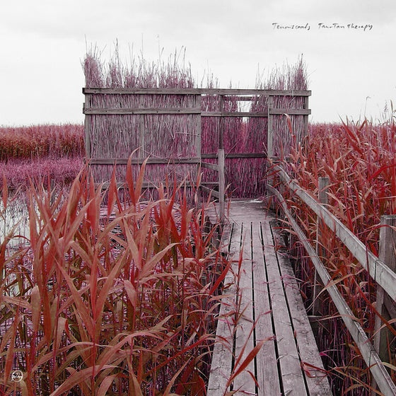 TENNISCOATS - Tan-Tan Therapy CD