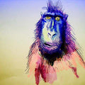 TER - Fingerprints CD CD