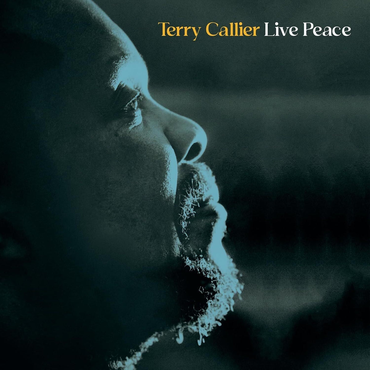 Terry Callier - Live Peace [2LP] Vinyl