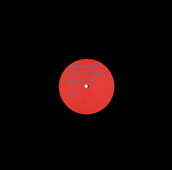 THE ANALOG ROLAND ORCHESTRA - Patterns 5/6 Vinyl 12"
