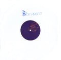 THE ANALOG ROLAND ORCHESTRA - Roden Crater Vision EP Vinyl 12"