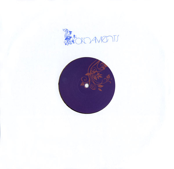 THE ANALOG ROLAND ORCHESTRA - Roden Crater Vision EP Vinyl 12"