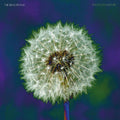 The Bevis Frond - Focus on Nature (PURPLE VINYL) Vinyl 2LP, Purple Vinyl [w/ download card]