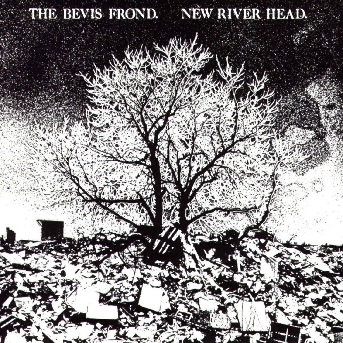 The Bevis Frond - New River Head Vinyl