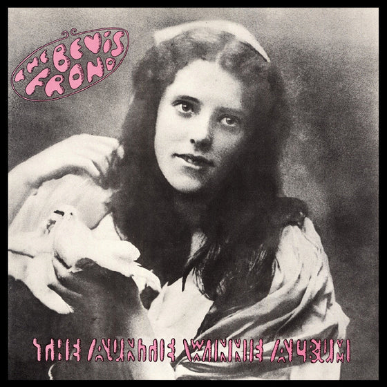 The Bevis Frond - The Auntie Winnie Album CD