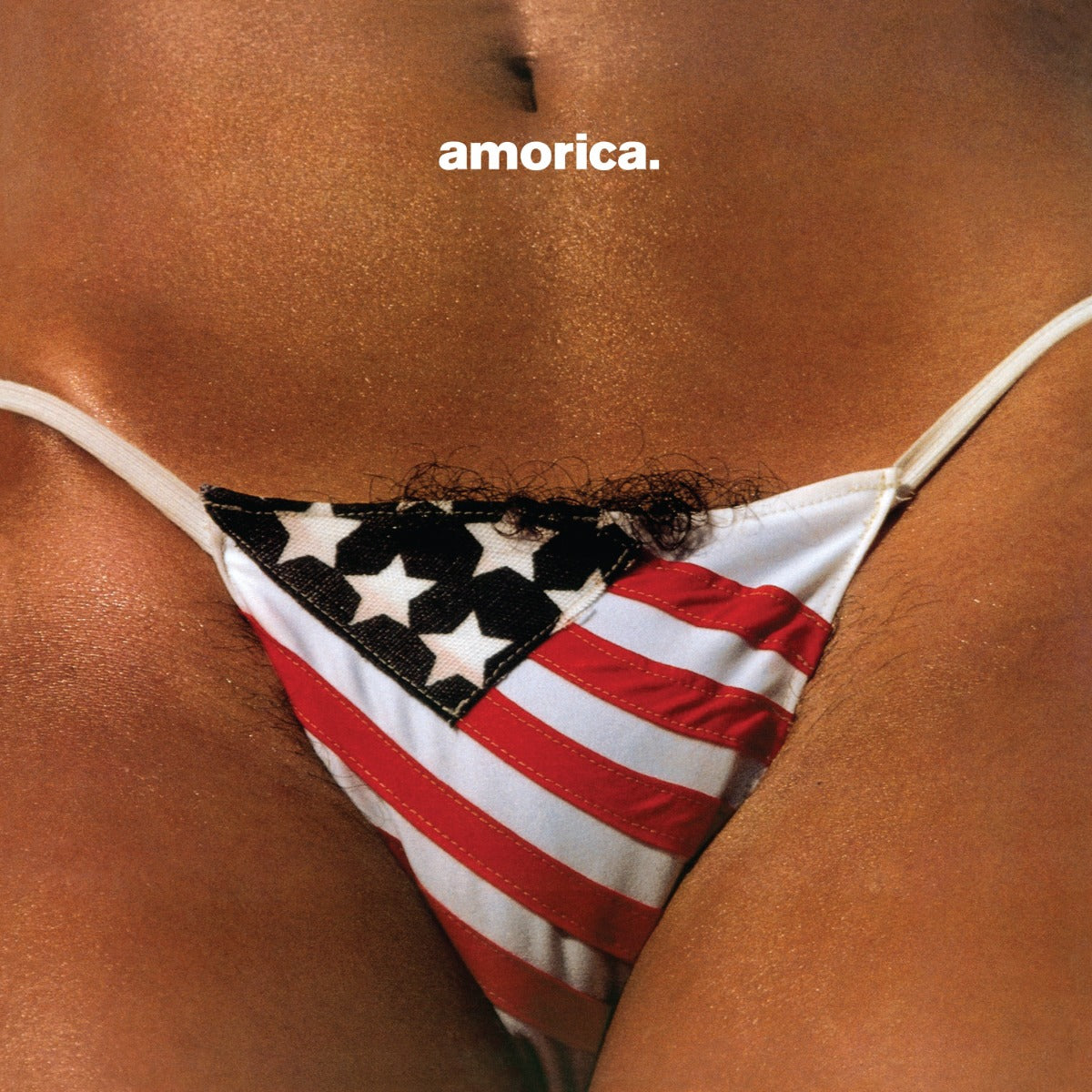 The Black Crowes - Amorica. [180G 2LP] Vinyl