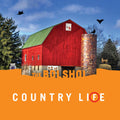 The Bolshoi - Country Life (GREEN & ORANGE VINYL) Vinyl 2LP, Green & Orange Vinyl, (Disc One - Green / Disc Two - Orange)