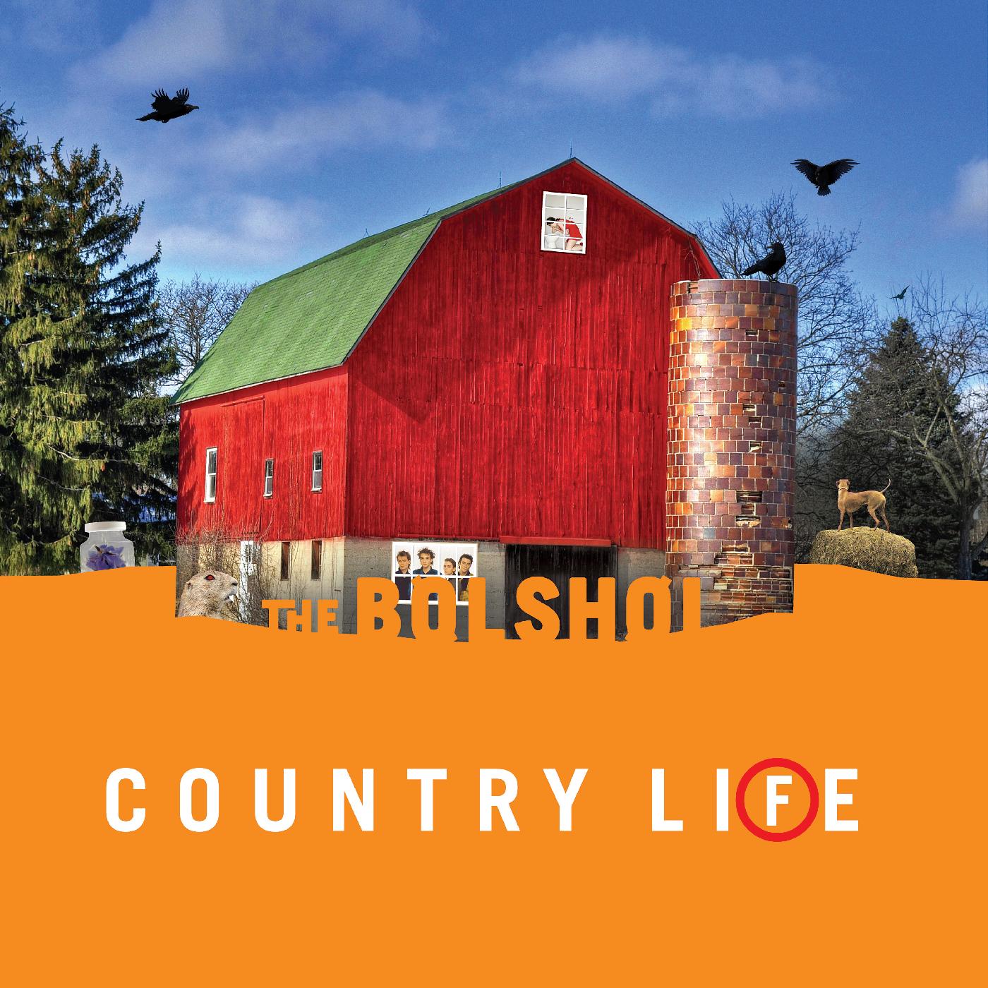 The Bolshoi - Country Life (GREEN & ORANGE VINYL) Vinyl 2LP, Green & Orange Vinyl, (Disc One - Green / Disc Two - Orange)