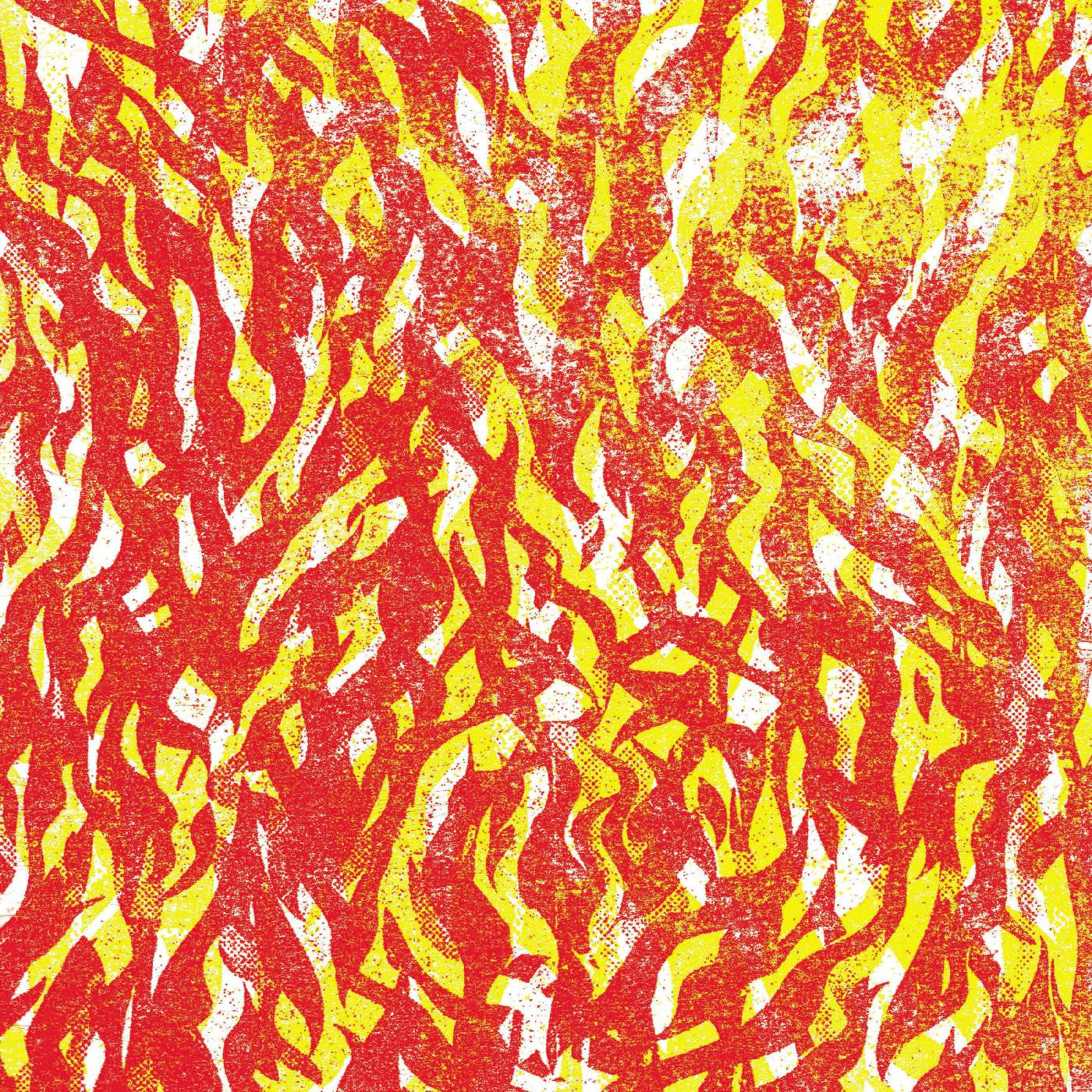 The Bug - Fire CD CD