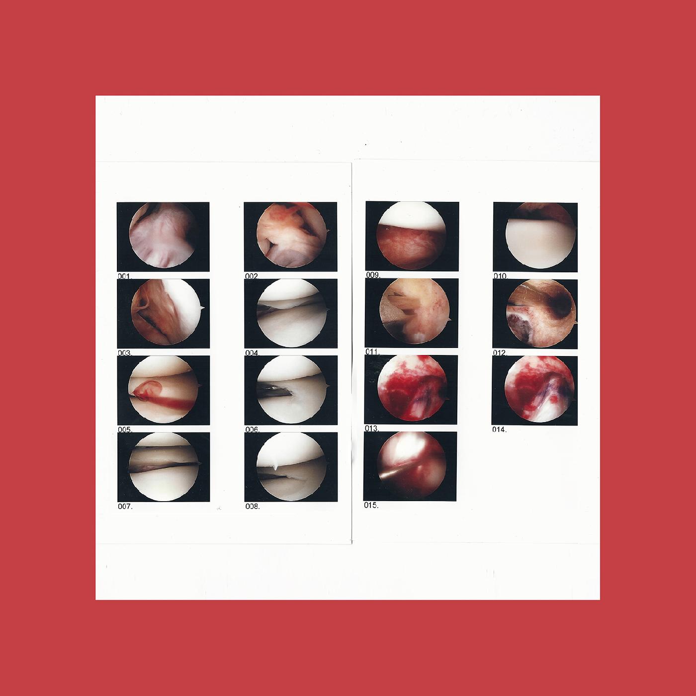 The Cradle - Laughing In My Sleep Vinyl 12" Vinyl [w/ download card]