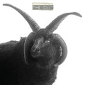 The Cult - The Cult Vinyl 2LP Widespine LP Jacket, 2 Printed Innersleeves