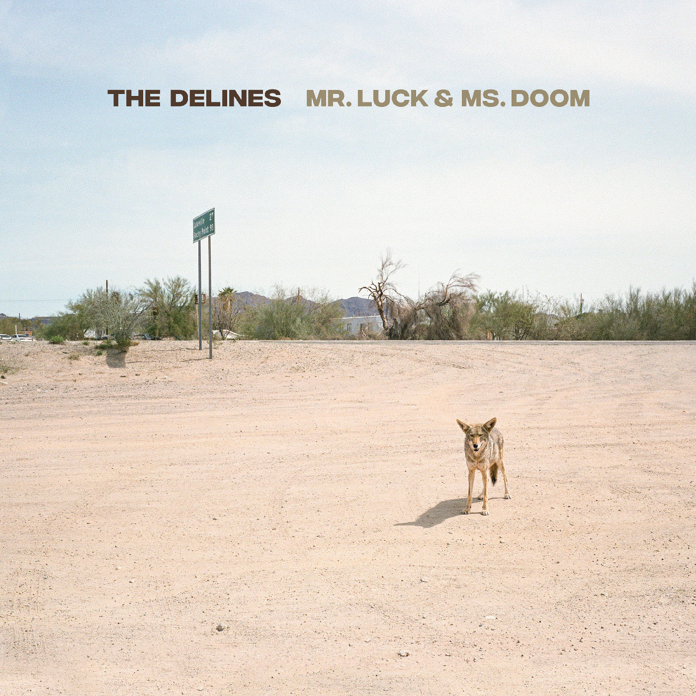 The Delines - Mr. Luck & Ms. Doom CD