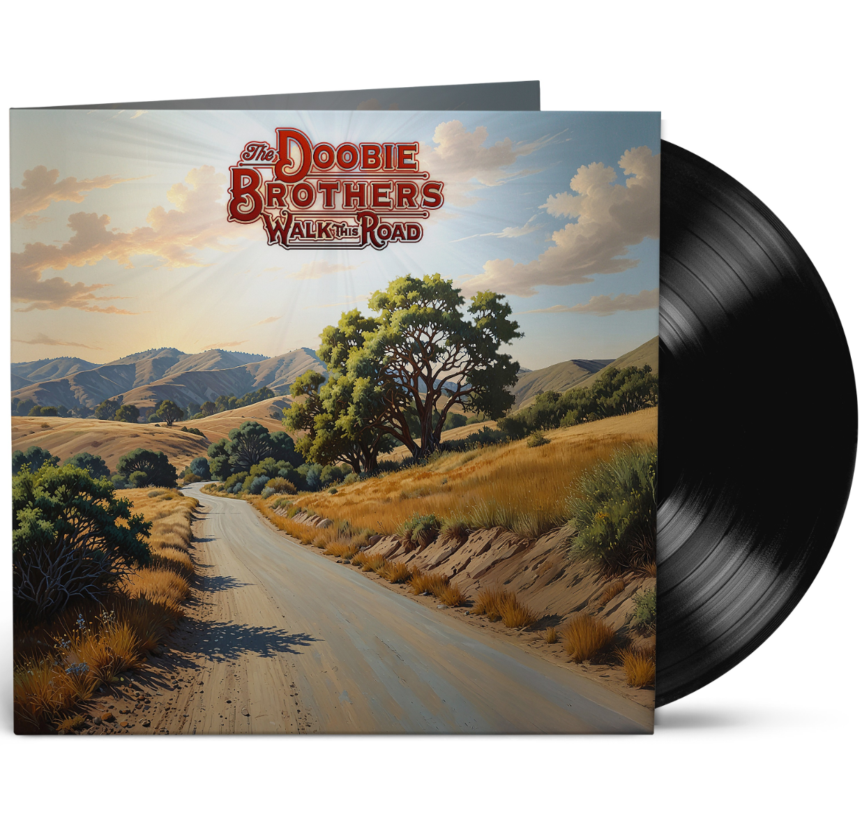 The Doobie Brothers - Walk This Road Vinyl