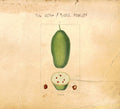 THE DORF/PHILL NIBLOCK - Baobab CD 2CD